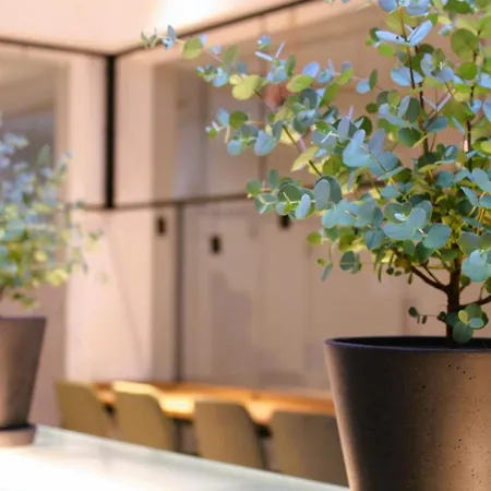 Hotell Bee Self-check-in-hotel Linz