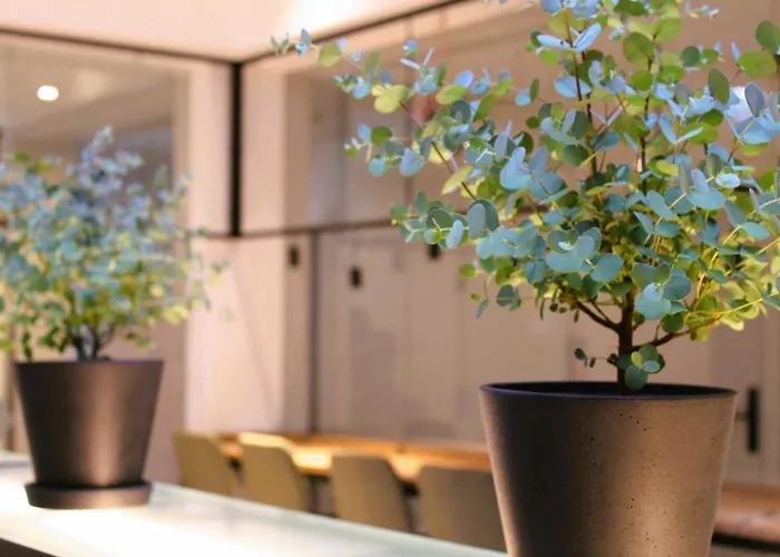 Hotell Bee Self-check-in-hotel Linz